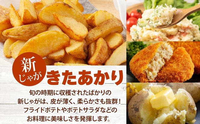 北海道 洞爺湖町産 新じゃがいも きたあかり 約10kg  Mサイズ以上混載 2026年10月初旬より順次出荷 北海道産 新じゃが じゃがいも ジャガイモ 馬鈴薯 旬 野菜 農作物 送料無料 産地直送 常温 洞爺湖町