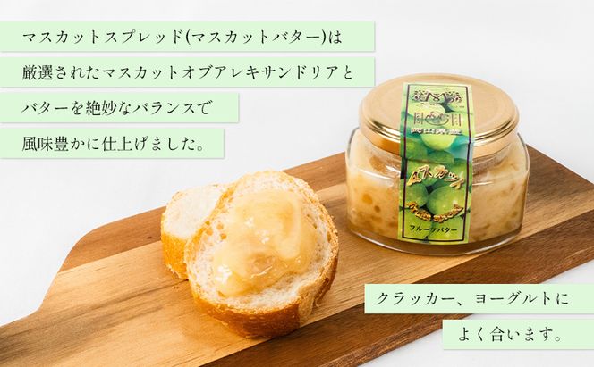 フルーツ バター スプレッド 3種類 セット （ もも ・ マスカット ・ パスクラサン 各1個） 桃 ぶどう 梨 果物 フルーツ 白桃 スコーン クラッカー ヨーグルト トースト 