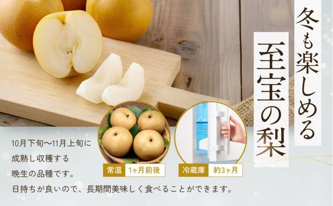 【先行予約】ギフト用 数量限定 鳥取県産”王秋梨（おうしゅうなし）” 約5kg （8～15玉）≪2026年11月中旬頃出荷≫ 312011_GT005