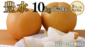 豊水 約10kg (16～28玉)【2026年9月上旬発送開始】(茨城県共通返礼品：大子町) 梨 なし 果物 くだもの フルーツ