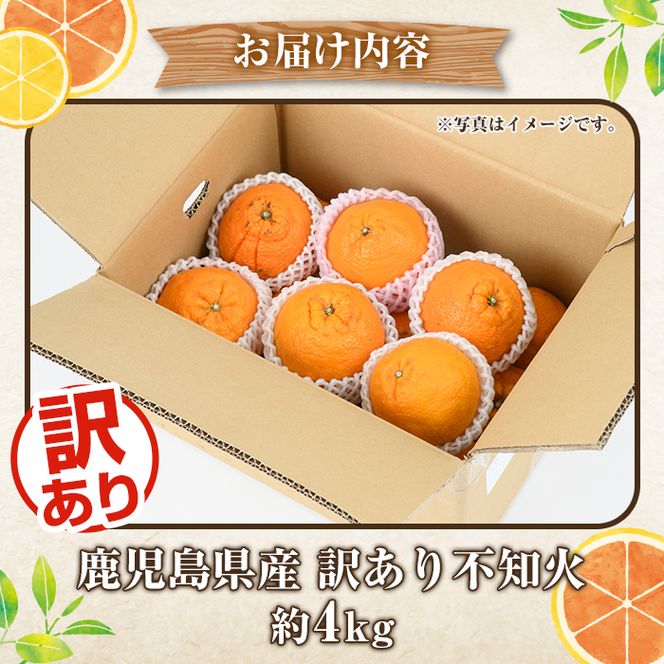 訳あり不知火(約4kg) 国産 鹿児島県産 果物 フルーツ 柑橘 不知火【松永青果】akn053-17