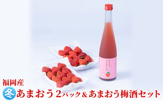 いちご あまおう 2パック 冬＆あまおう梅酒 あまおうはじめました。 500ml×1本セット 配送不可 離島 お酒 アルコール 苺 フルーツ 飲み会 甘いお酒 宅飲み 果物 詰め合わせ 