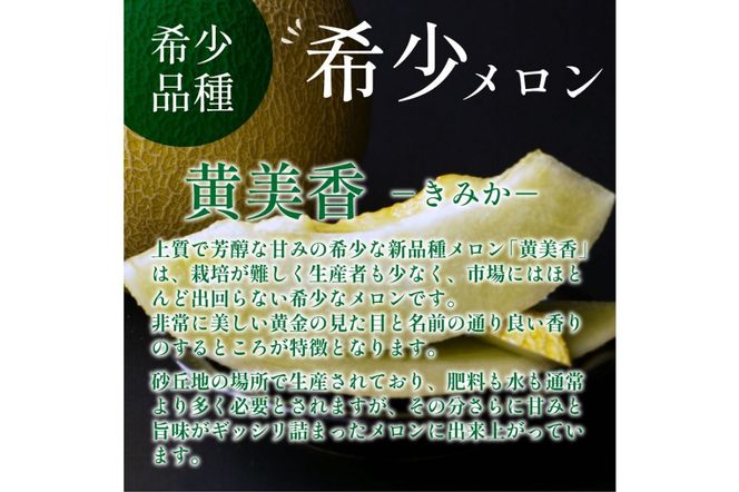 【先行予約／数量限定200】希少品種 黄美香（きみか）メロン 1玉（2025年7月下旬～発送）　DE00114