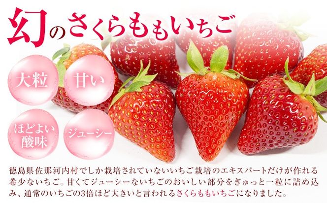 【CF】大福 和菓子 さくらももいちご大福 苺大福 いちご大福 6個 福屋 盛壽の郷《12月下旬-2月末頃出荷》徳島県 佐那河内村 送料無料 菓子 苺 デザート お取り寄せスイーツ さくらももいちご【配送不可地域あり】(北海道・東北・沖縄・離島)---sanagouchi_fky_3_6k---