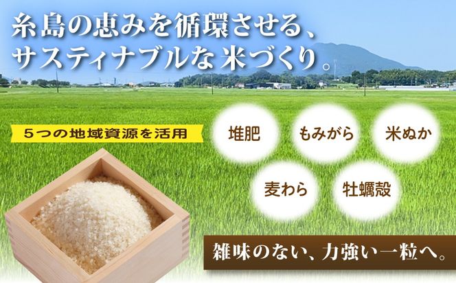 【先行受付】にじのきらめき 白米 10kg 【2026年9月中旬以降順次発送】 糸島市産 糸島市 / 糸島の恵み コメ こめ ご飯[AGR014]