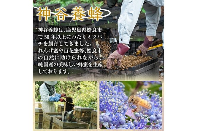 a686 国産！純粋はちみつ(600g)【神谷養蜂】