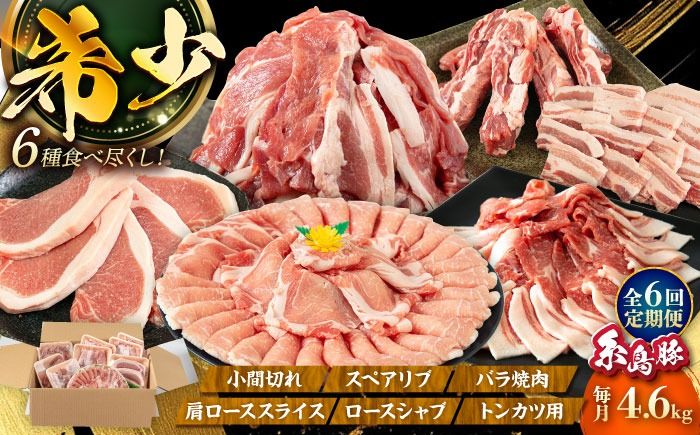 [全6回定期便]計4.6kg!糸島豚 食べ尽くしセット ( とんかつ / 肩ロース / しゃぶしゃぶ / 豚バラ / スペアリブ / 小間切れ ) 糸島市 / トラヤミートセンター [AJD013] 豚肉 スライス しゃぶしゃぶ ロース スペアリブ こま切れ