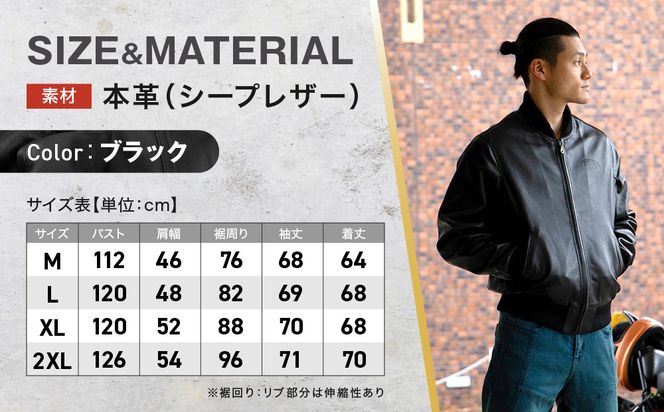 【デグナー】ふるさと納税限定 スタジアムジャンパー型レザージャケット［25WJ-9F] ブラック Mサイズ｜京都 バイクギア 人気ブランド［ 京都 バイクギア 人気ブランド ジャケット レザー 革 限定品 人気 おすすめ ツーリング ライダー バイカー お取り寄せ 送料無料 ふるさと納税 ］ 261009_A-JR150VC01