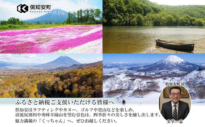 北海道 花いっぱい トイレットペーパー 30ｍ 96ロール ダブル 花柄 ブライティアソフト ボックス ティッシュ 200組 60箱 防災 常備品 プリント ペーパー まとめ買い リサイクル 消耗品 生活必需品 備蓄 送料無料 倶知安町 日用品 