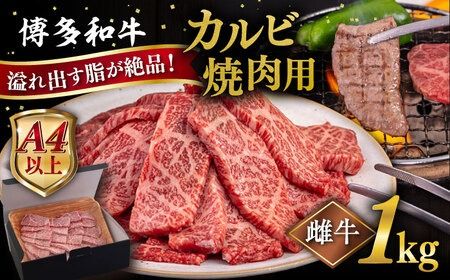 【A4〜A5 等級】博多和牛 カルビ 焼肉用 1kg 糸島市 / ヒサダヤフーズ [AIA052] 牛肉 霜降り 博多 和牛 焼肉 焼き肉 バーベキュー 黒毛和牛 カルビ バラ