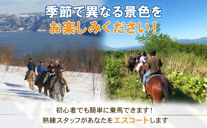 北海道 レイクトレッキング＆Winterレイクトレッキング 約40分 乗馬 体験 ホース トレッキング 絶景 自然 貴重 体験 経験 景色 ふれあい 血統馬 初心者 本格的 のんびり お子様 大人 レイクトーヤランチ 洞爺湖 