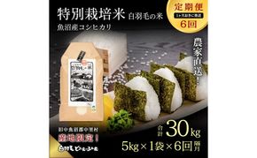 【通年受付】≪令和8年産≫【定期便／1ヶ月おき全6回】農家直送！魚沼産コシヒカリ特別栽培「白羽毛の米」精米(5kg×1袋)×6回 30kg お米 白米 ご飯