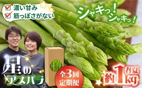 【3回定期便】【星のアスパラ】春・夏 の グリーン アスパラガス 約1kg / アスパラ 野菜 / 南島原市 / ほしのYA[SEY016]