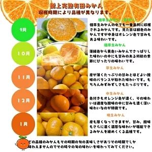 【12月発送】 ＼先行予約／ 有田 育ちの完熟 有田 みかん 家庭用 2.2kg(2kg+200g) / 有田みかん 柑橘 甘い フルーツ 果物 産地直送 和歌山 ※北海道・沖縄・その他離島地域は発送不可【ard004-c-2d2-12】