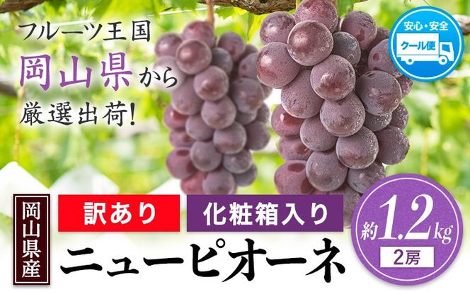【先行予約】岡山県産 訳あり ニューピオーネ 約1.2kg 2房《9月中旬～11月上旬頃に出荷予定(土日祝除く)》 葡萄 果物 訳あり 優品 厳選出荷 スイーツ フルーツ デザート 岡山県矢掛町数量限定---ofn_cwnp_ad911_25_15500_2---