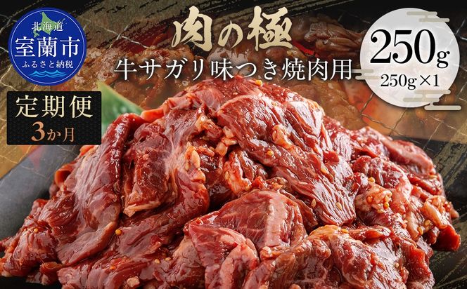 【3か月定期便】牛サガリ味つき焼肉用 250g (250g×1) MROBM021