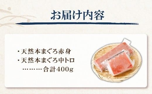 まぐろの王様！ 天然本まぐろ 味わいセット ４００ｇ サク 柵 スライス 切落し セット 天然 天然まぐろ 天然マグロ まぐろ 中トロ 赤身 鮪 刺身 お刺身 食べ比べ  高知 室戸 冷凍 小分け 便利 tk074