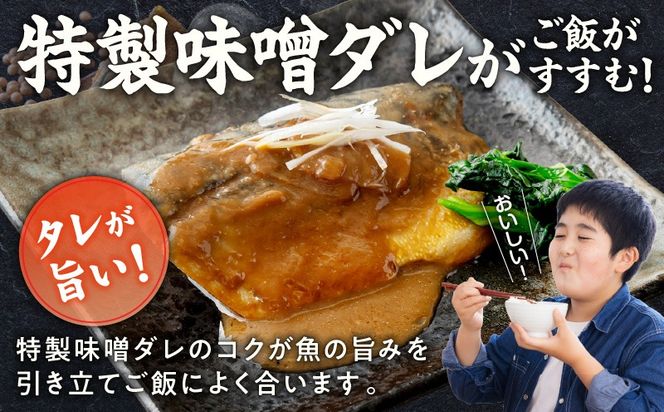 G5889 【先行予約】サバの味噌煮 10食 合計800g【2027年1月以降発送 鯖 さば サバ 味噌 煮物 惣菜 おかず 切り身 簡単調理 時短】
