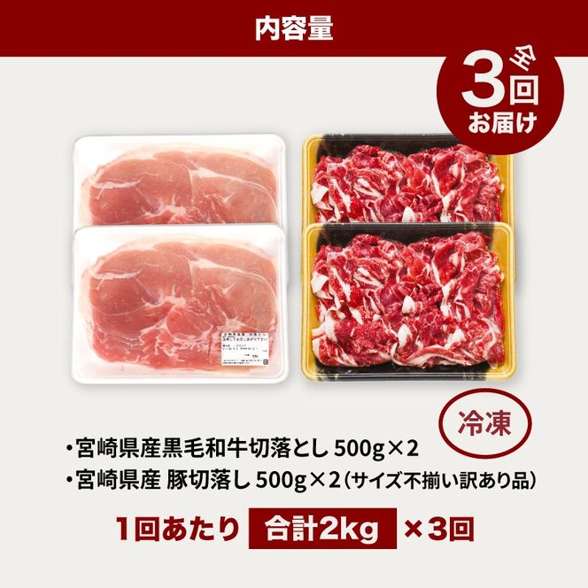 牛肉＆豚肉切り落としセット【3か月定期便】 K16_T004_3