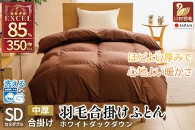 【春秋用】 洗える 羽毛布団 合掛け セミダブル ホワイトダックダウン85％ 1.0kg 無地 ブラウン 中厚 春用 秋用 [川村羽毛 山梨県 韮崎市 20745412] 合い掛け 布団 コインランドリー 掛け布団 ダウンかけ布団 ふとん 羽毛ふとん 合掛け布団 エクセルゴールドラベル