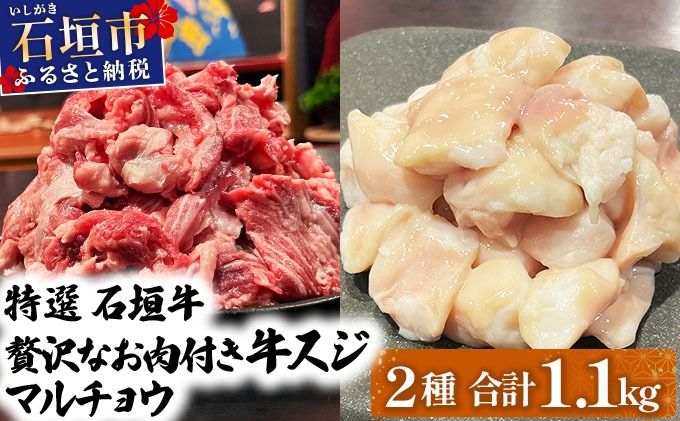 [2025年11月以降順次発送]特選石垣牛の牛スジとマルチョウをご家庭で!!牛スジ500g、マルチョウ300g×2の大容量セット