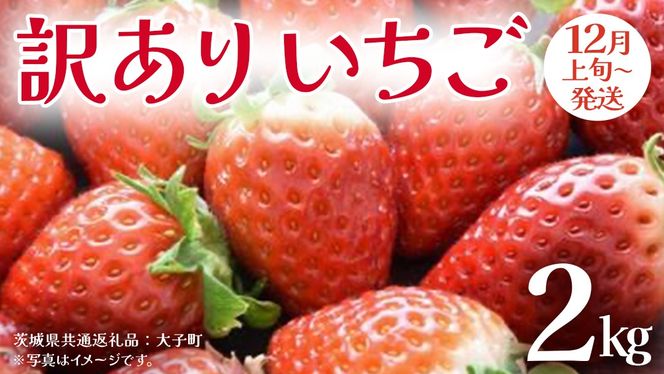 y錧vsz󂠂  2kgy2025N12{Jnz(錧ʕԗiFq)  ʕ t[c ʎ ƒp