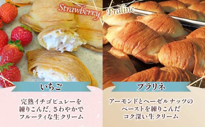 生シェルパイ 8個セット パイ バニラ チョコ 完熟 いちご プラリネ チョコレート ショコラ 生クリーム クーベルチュール シャラントポワトー バター 創作 湘南 贈り物 ギフト 箱詰め 送料無料 イル・ド・ショコラ 茅ヶ崎市 神奈川県