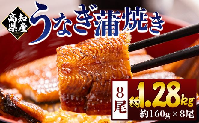 高知県産蒲焼きうなぎ １６０ｇ ８尾 計１２８０ｇ fb-0157