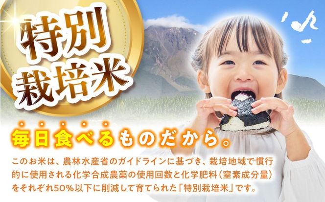 【特別栽培米】 ヒノヒカリ 10kg (5kg×2袋) / 米 精米 白米 ごはん ご飯 ひのひかり / 南島原市 / 農家民宿　いちご一会[SBN002]