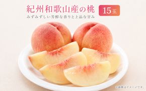 紀州和歌山産の桃　１５玉　化粧箱入 ※2027年6月下旬頃〜8月上旬頃順次発送（お届け日指定不可）【uot780A】