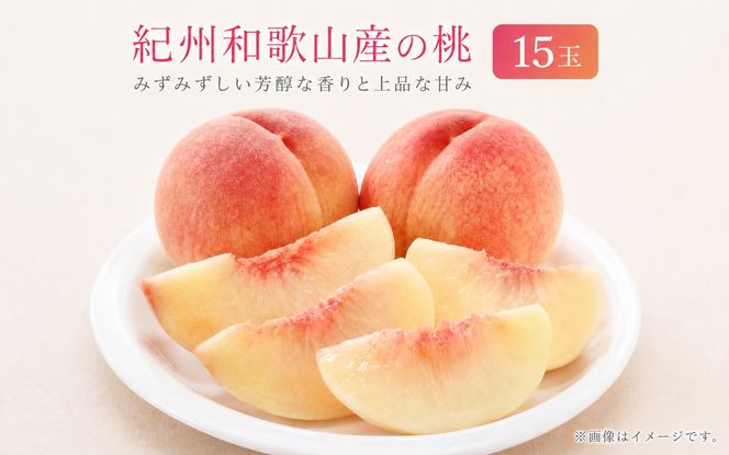 紀州和歌山産の桃　１５玉　化粧箱入 ※2027年6月下旬頃〜8月上旬頃順次発送（お届け日指定不可） 【uot780B】