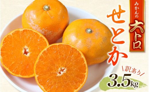 訳あり せとか 約3.5kg＋200g (傷み補償分)  大小混合 【2027年2月下旬から順次発送】 ご家庭用 家庭用 わけあり 訳アリ  みかん ミカン フルーツ 果物 くだもの 柑橘 せとか 蜜柑 人気 予約 先行予約 数量限定【njb682B】