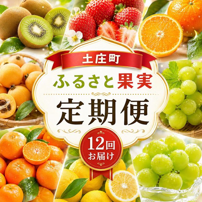 【 小豆島 】【12回お届け】土庄町 ふるさと果実 定期便 12回