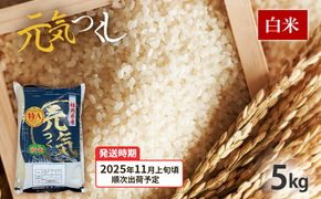 令和7年産　福岡県産ブランド米「元気つくし」白米5kg【11月上旬頃より順次出荷予定】