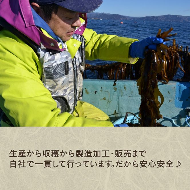 おさしみわかめ 200g 湯通し塩蔵わかめ 海鮮 海藻 魚貝類 魚介類 小分け 刺身 刺し身 さしみ おさしみ みそ汁 スープ 酢の物 三陸産 岩手県 大船渡市 [kairaku018]