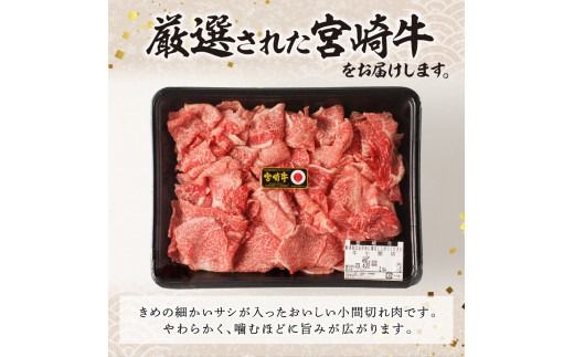 宮崎牛小間切れ900g(450g×2ﾊﾟｯｸ) N061-YB334