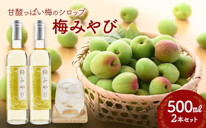梅みやび（梅シロップ）500ml×2本セット 