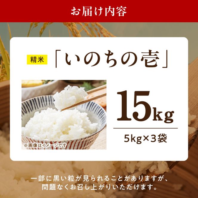 R7年産　「いのちの壱」（15kg）＜農家直送＞ ［208K11］ 希少米 15kg 米 精米 白米 ご飯 国産 産地直送 甘い 粘り強い もちもち お取り寄せ こだわり米 愛知県 小牧市 送料無料