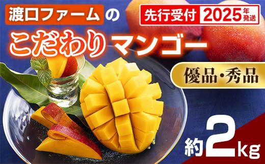 摘果 （10〜120g） グリーンマンゴー 19kg(150g-) 10.2キロ 食品