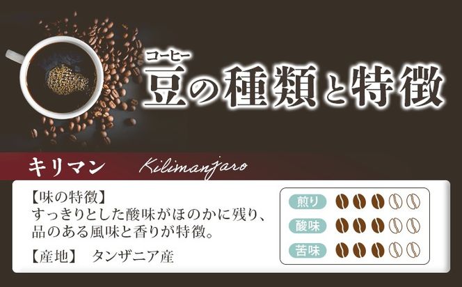 GRAN TORINO 200g×3種類 コーヒー 粉 キリマン トラッドブレンド グアテマラ 3種 飲み比べ セット 計600g 自家焙煎 珈琲 ドリンク 飲料 福岡県 福岡 九州 お取り寄せ