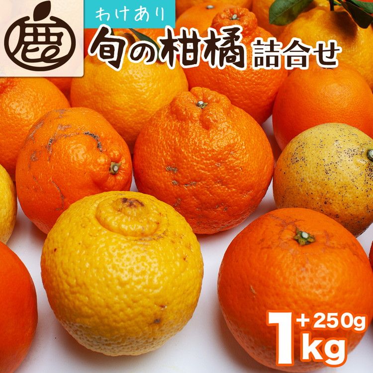[1月より発送]家庭用 柑橘詰合せ1kg+250g(傷み補償分)◇[訳あり・わけあり][有田の春みかん詰め合わせ・フルーツ詰め合せ・オレンジつめあわせ][光センサー選別] ※北海道・沖縄・離島への配送不可 ※2026年1月上旬〜4月下旬頃に順次発送予定