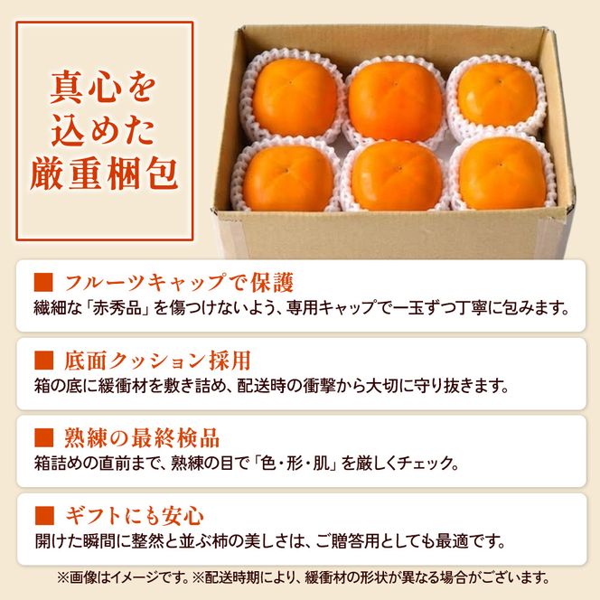 先行受付!　柿　種無し　赤秀品　大玉　5～6個　約2kg