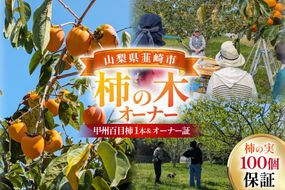 柿の木オーナー 韮崎大村財団柿の木オーナー [一般財団法人韮崎大村財団 山梨県 韮崎市 20745389] 柿 かき カキ 柿の木 オーナー オーナー証 オーナー制度 オーナープラン