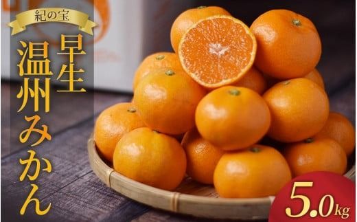 yOdI󒬁zɂ_B݂(}`͔|)@5kgy2025N11{`12{ɏz / ƒp ƒp s  B ݂ ymtn005Az