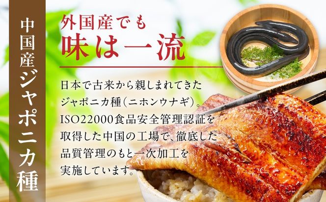 G3973d 【土用の丑の日までにお届け】うなぎ 暴れ盛り 250g（2カット）【規格外 お試し 鰻 かば焼き 簡単調理 訳あり サイズ不揃い 人気 惣菜 うな重 うな丼 ひつまぶし】