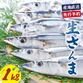 【2026年先行予約】 鮮さんま 約1kg 冷蔵 秋刀魚 限定 期間限定 旬 簡単調理 焼き魚 煮魚 フライ おかず おつまみ 晩酌 米 丼 海産物 海鮮 魚介 魚介類 三陸 岩手県 大船渡市 [daisei006]