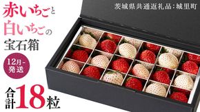 赤いちご と 白いちご の宝石箱 18粒 【12月から発送開始】（茨城県共通返礼品 [いちご]：城里町） 果物 フルーツ いちご イチゴ 苺 白苺 贈答 ギフト