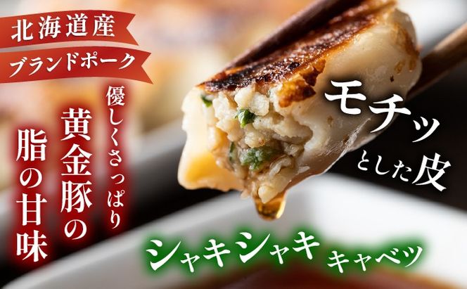 北海道 伊達 黄金豚 キャベツ の シャキシャキ 黄金 ぎょうざ 18個入×5パック（計90個） 餃子 小分け お肉 豚肉