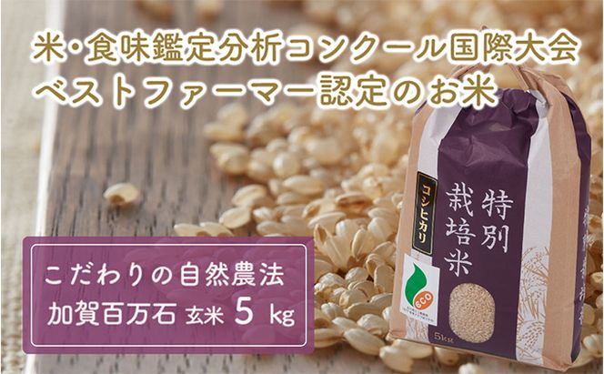  【令和7年度産】加賀百万石特別栽培米コシヒカリ玄米5kg 