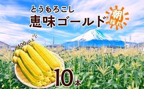 ＜2026年発送先行予約＞とうもろこし 恵味 ゴールド 400g以上 × 10本 高糖度 トウモロコシ スイートコーン 玉蜀黍 イエローコーン 黄 夏野菜 甘い ジューシー 野菜 おやつ 旬 産地直送 送料無料 湖南野菜出荷組合 山梨県 富士河口湖町 FEM003